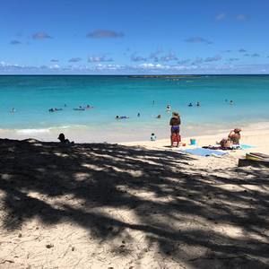 Meet your Posher, Andy